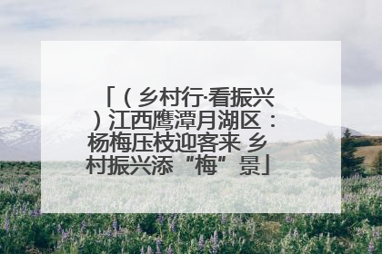 （乡村行·看振兴）江西鹰潭月湖区：杨梅压枝迎客来 乡村振兴添“梅”景