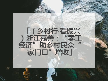 （乡村行·看振兴）浙江嘉善：“零工经济”助乡村民众“家门口”增收
