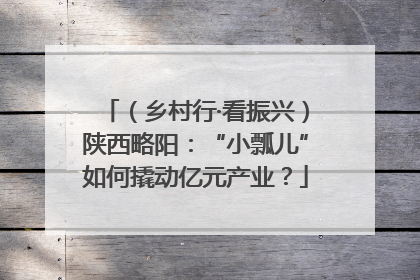 （乡村行·看振兴）陕西略阳：“小瓢儿”如何撬动亿元产业？