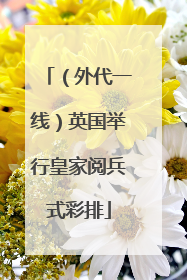 （外代一线）英国举行皇家阅兵式彩排