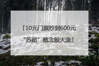 10元门票炒到600元 “苏超”概念股大涨