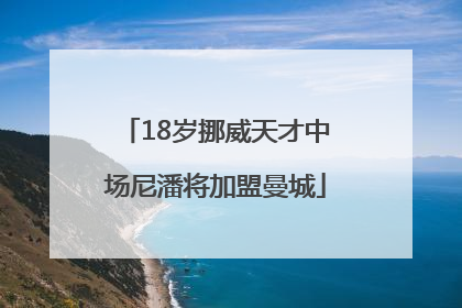 18岁挪威天才中场尼潘将加盟曼城