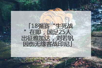 18强赛“生死战”在即，国足25人出征雅加达，刘若钒因伤无缘客战印尼