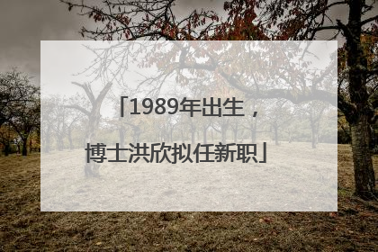 1989年出生，博士洪欣拟任新职