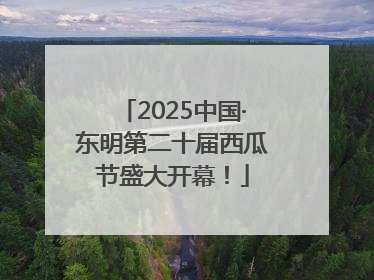 2025中国·东明第二十届西瓜节盛大开幕！