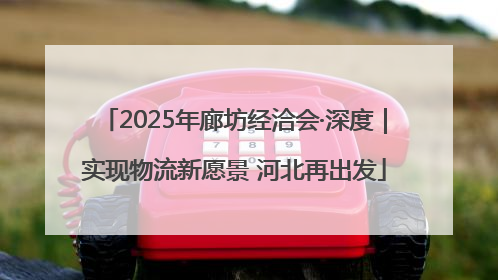 2025年廊坊经洽会·深度｜实现物流新愿景 河北再出发