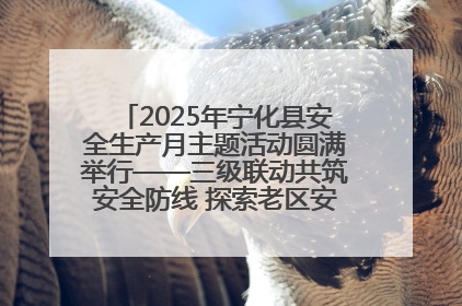 2025年宁化县安全生产月主题活动圆满举行——三级联动共筑安全防线 探索老区安全发展新路径
