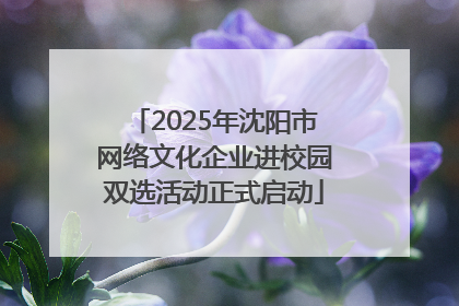 2025年沈阳市网络文化企业进校园双选活动正式启动