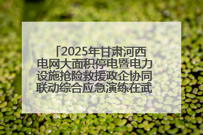 2025年甘肃河西电网大面积停电暨电力设施抢险救援政企协同联动综合应急演练在武威成功举行