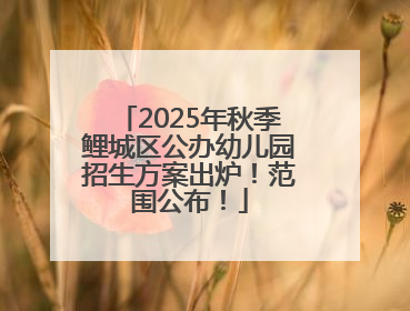 2025年秋季鲤城区公办幼儿园招生方案出炉！范围公布！