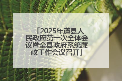 2025年道县人民政府第一次全体会议暨全县政府系统廉政工作会议召开