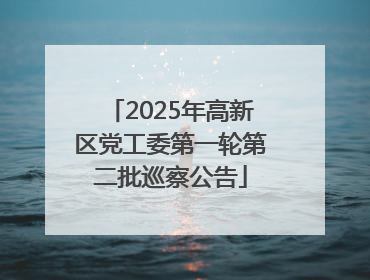 2025年高新区党工委第一轮第二批巡察公告