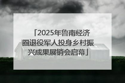 2025年鲁南经济圈退役军人投身乡村振兴成果展销会启幕