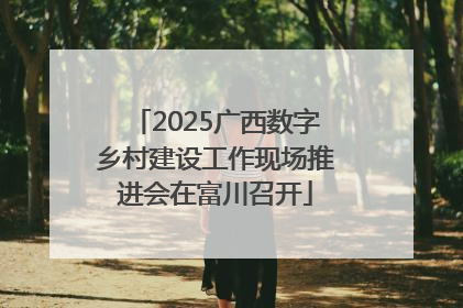 2025广西数字乡村建设工作现场推进会在富川召开