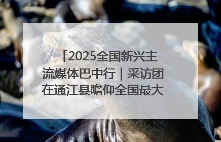 2025全国新兴主流媒体巴中行｜采访团在通江县瞻仰全国最大红军烈士陵园