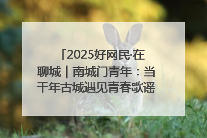 2025好网民·在聊城｜南城门青年：当千年古城遇见青春歌谣 一湖碧水见证的“聊城式浪漫”