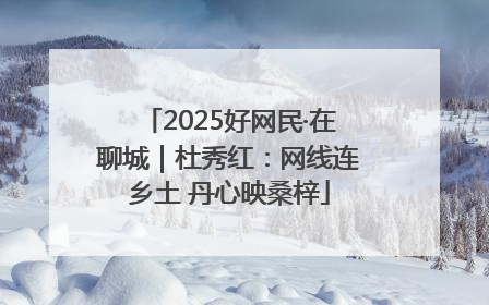 2025好网民·在聊城｜杜秀红：网线连乡土 丹心映桑梓