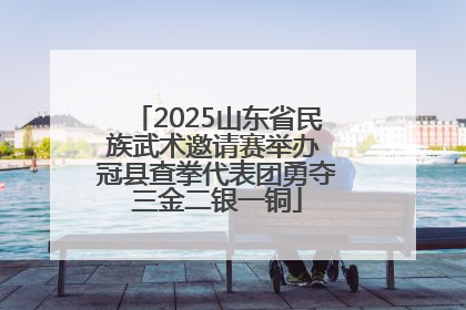2025山东省民族武术邀请赛举办 冠县查拳代表团勇夺三金二银一铜