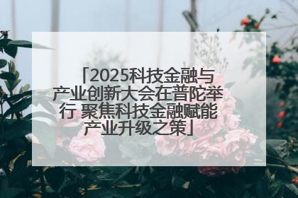 2025科技金融与产业创新大会在普陀举行 聚焦科技金融赋能产业升级之策