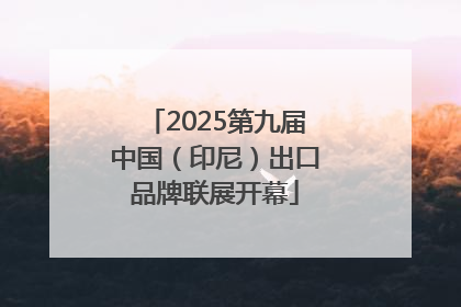 2025第九届中国（印尼）出口品牌联展开幕
