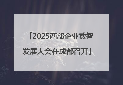 2025西部企业数智发展大会在成都召开