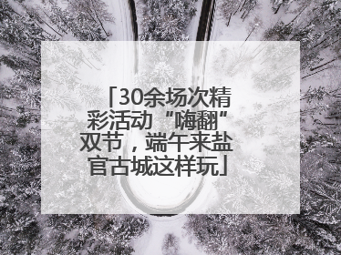 30余场次精彩活动“嗨翻”双节，端午来盐官古城这样玩