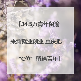 34.5万青年留渝来渝就业创业 重庆把“C位”留给青年