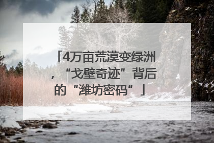 4万亩荒漠变绿洲，“戈壁奇迹”背后的“潍坊密码”