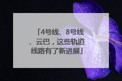 4号线、8号线、云巴，这些轨道线路有了新进展