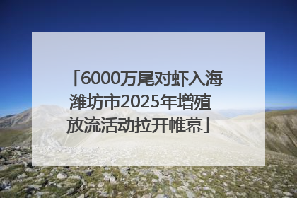 6000万尾对虾入海 潍坊市2025年增殖放流活动拉开帷幕