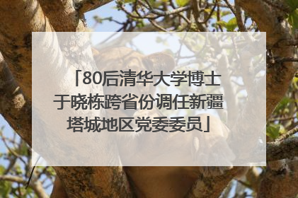 80后清华大学博士于晓栋跨省份调任新疆塔城地区党委委员