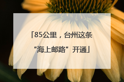85公里，台州这条“海上邮路”开通