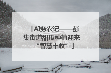 AI务农记——彭集街道甜瓜种植迎来“智慧丰收”