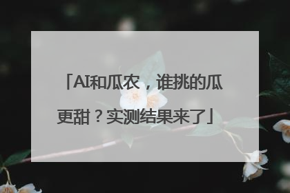AI和瓜农，谁挑的瓜更甜？实测结果来了