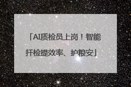 AI质检员上岗！智能扦检提效率、护粮安