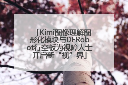 Kimi图像理解图形化模块与DFRobot行空板为视障人士开启新“视”界