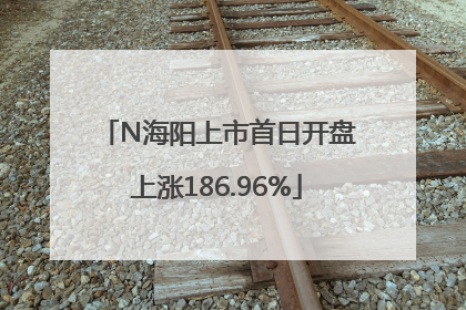 N海阳上市首日开盘上涨186.96%