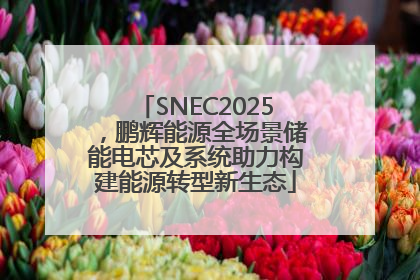 SNEC2025，鹏辉能源全场景储能电芯及系统助力构建能源转型新生态
