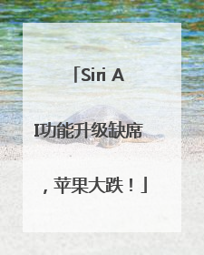 Siri AI功能升级缺席，苹果大跌！