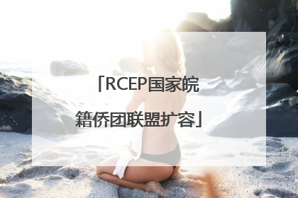 RCEP国家皖籍侨团联盟扩容