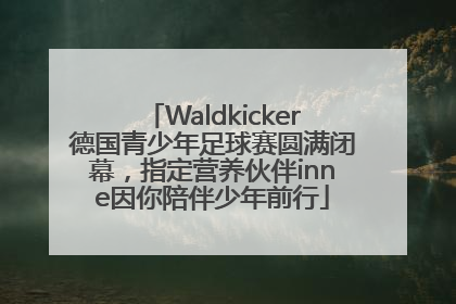 Waldkicker德国青少年足球赛圆满闭幕，指定营养伙伴inne因你陪伴少年前行